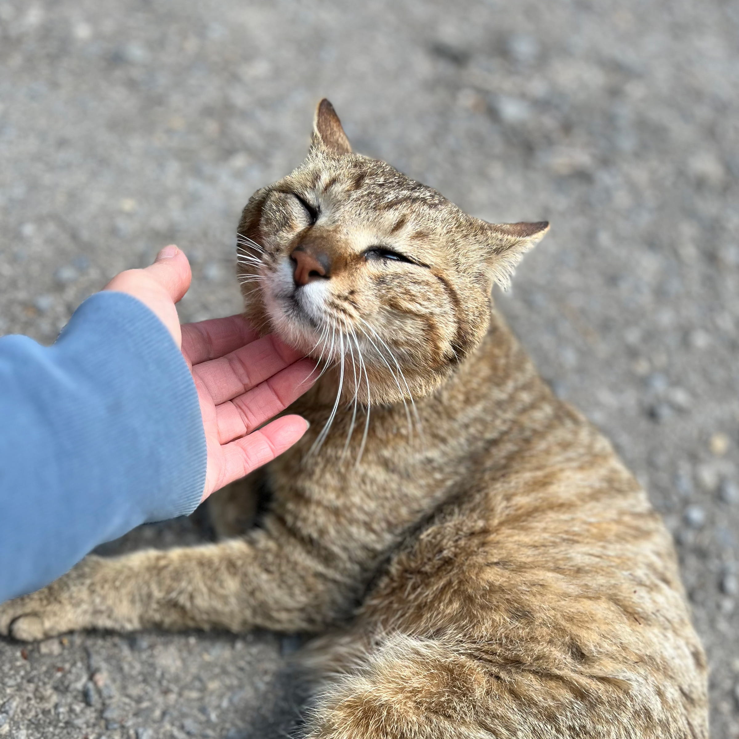 キー坊