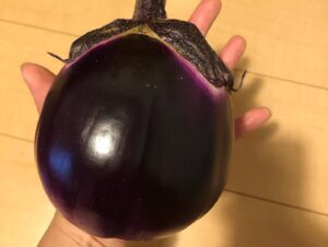 手のひらにのせた、丸くて大きい西洋野菜フィレンツェナスの実