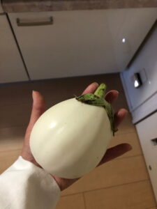 収穫した白なす（とろ〜り旨なす）