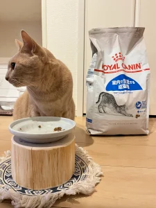 カリカリをロイヤルカナンに切り替えた様子