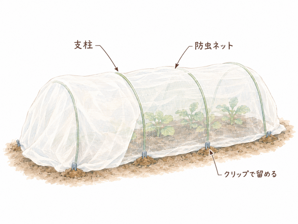 定植と同時にトンネルを立てて防虫ネットをかけたロマネスコ